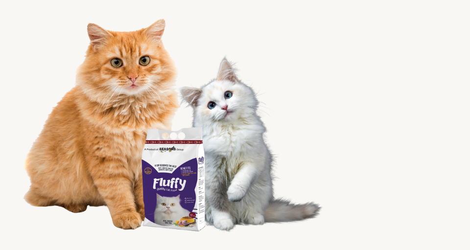 Cat Food Banner